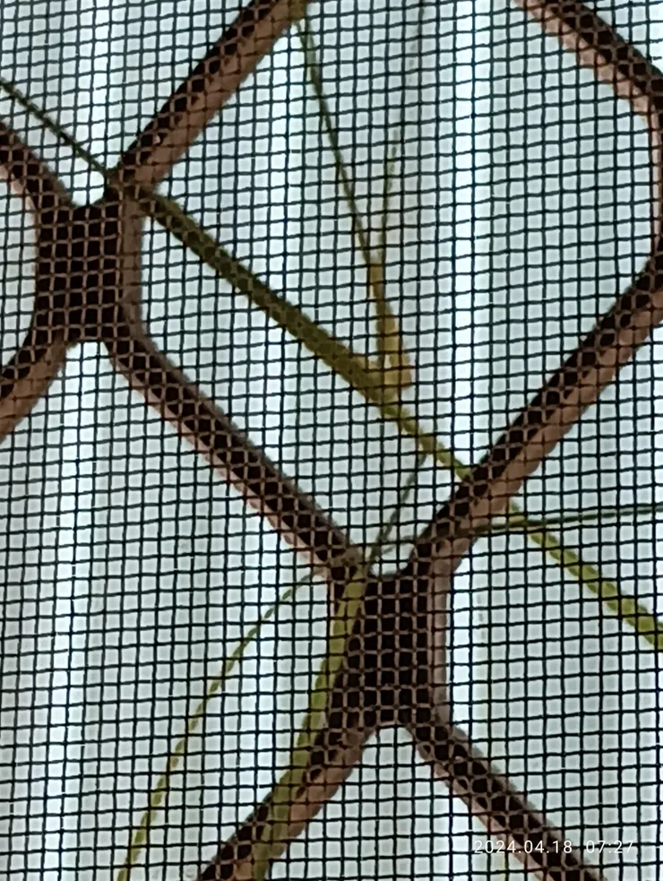 書房窗櫺文鳥竟編下第一根巢織