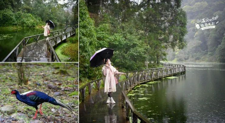 引用滿分旅遊札記