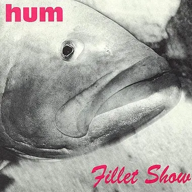 《 Fillet Show 》