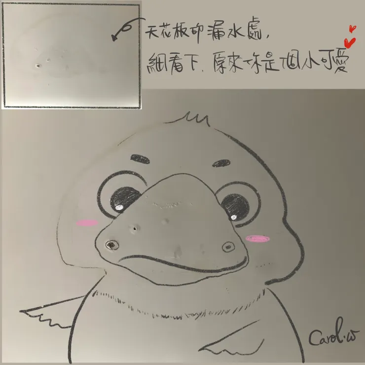 天花板的水漬痕 by Carol.w