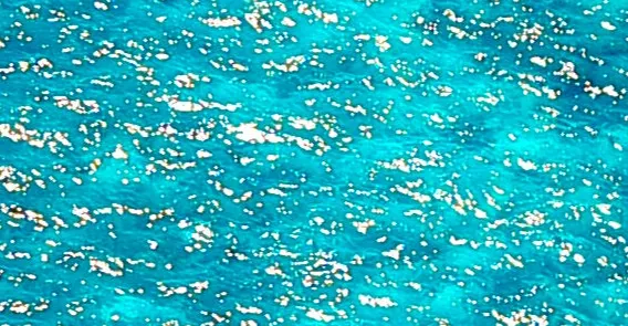 許展瑋的明心財務思考論