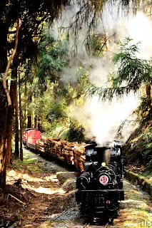 百年林鐵經典場景重現！