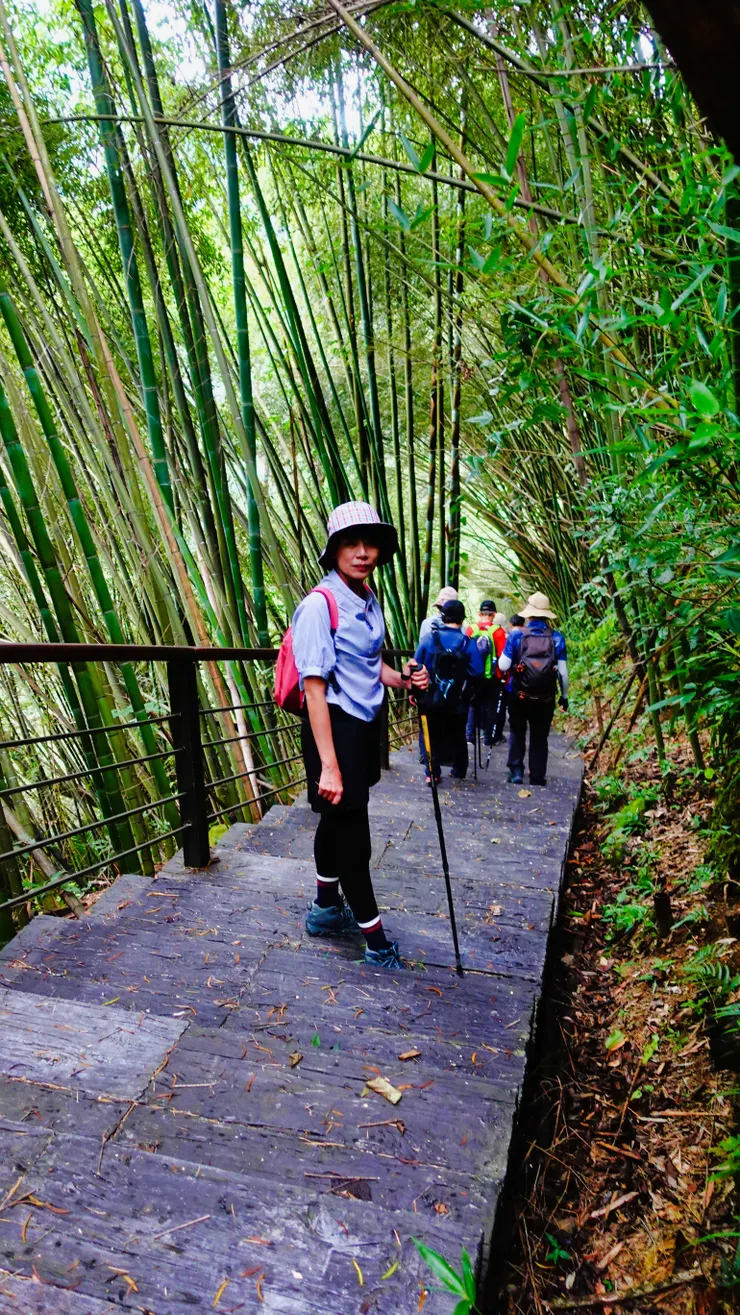 特富野巨木步道行走其間也是蠻愜意的