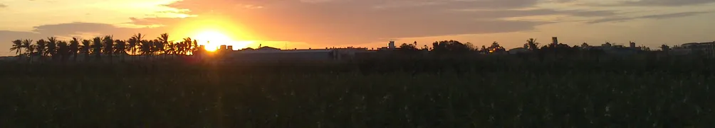 浣熊山大王的沙龍