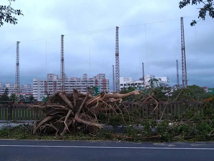 (當下完全無法拿出手機拍照，這張照片是辛苦的工作人員整理過馬路後所攝)