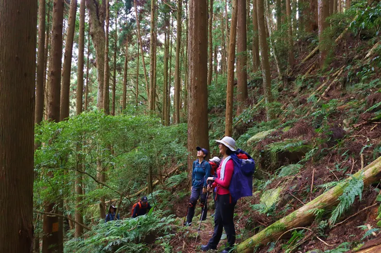 此段雖說是腰繞路，但仍有好幾處需上下攀爬，並不算輕鬆路線。