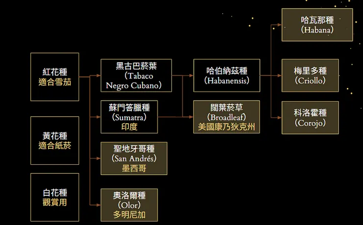 雪茄菸葉品種全解析:古巴以外的原生種與改良種比較|世界雪茄葉系圖鑑
