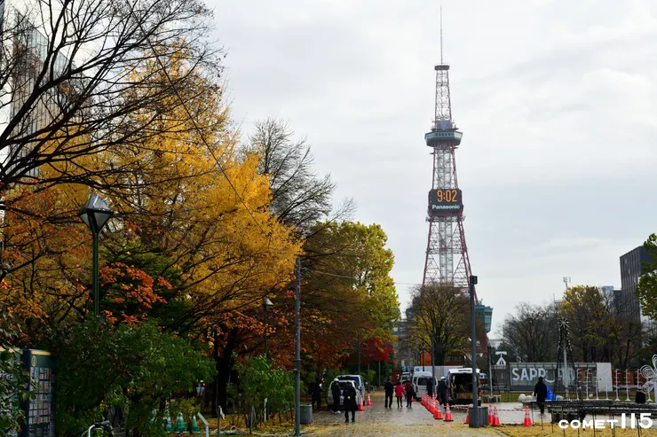 大通公園連結札幌市資料館和電視塔，在繁忙的市中心留下了可以喘息的空間