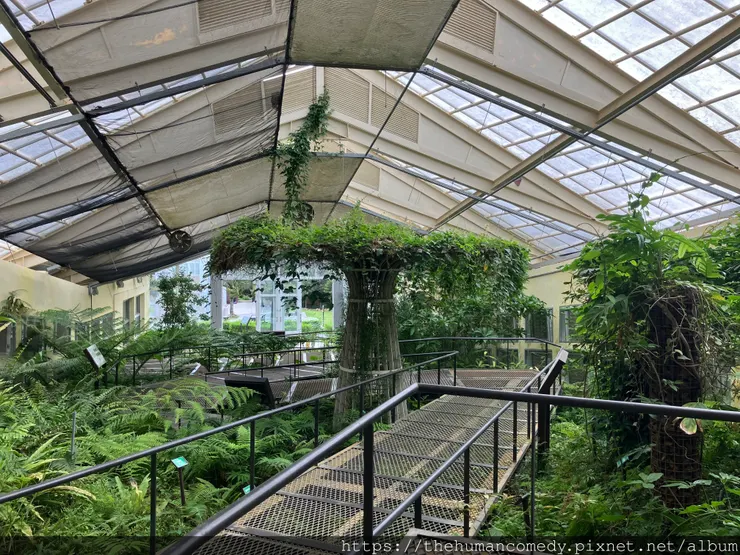 [ 美食景點 ] 2024恆春五大私房景點｜海景、山景、咖啡