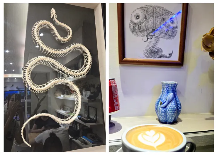 咖啡廳裡處處可見蛇類擺飾品