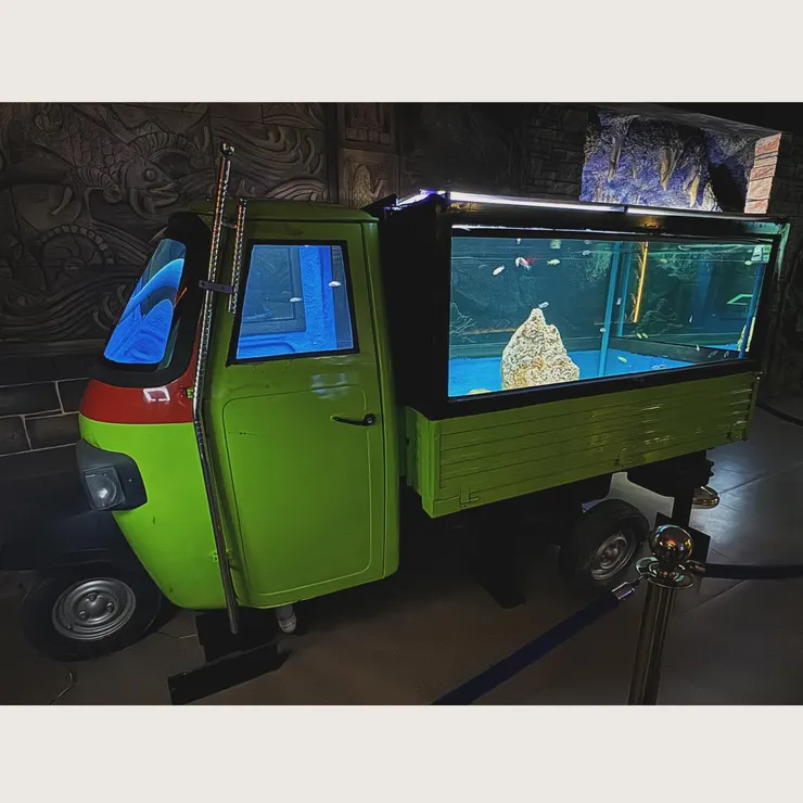 嘟嘟車造型的魚缸
