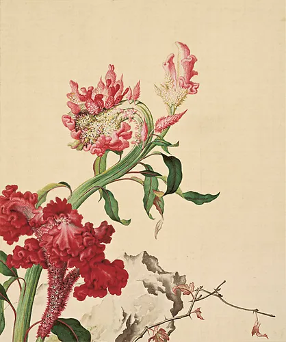 郎世寧的「雞冠花圖」,其將形肖紅冠翠羽的公雞形貌表現得十分生動!