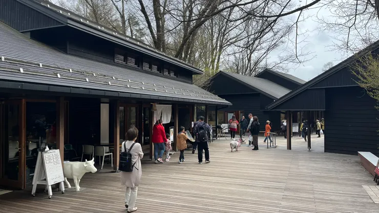 小鎮用木造色系打造，相當舒服。