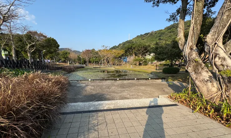 拍攝於2026年2月22日，台北 至善公園