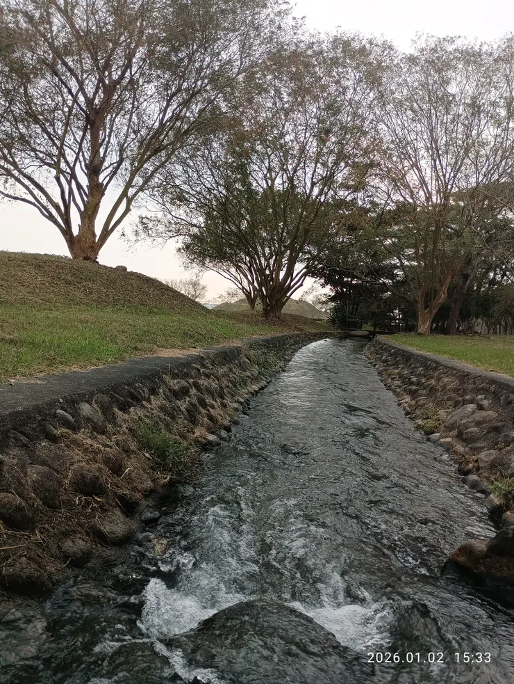 葉寒枝冷鳥息鳴