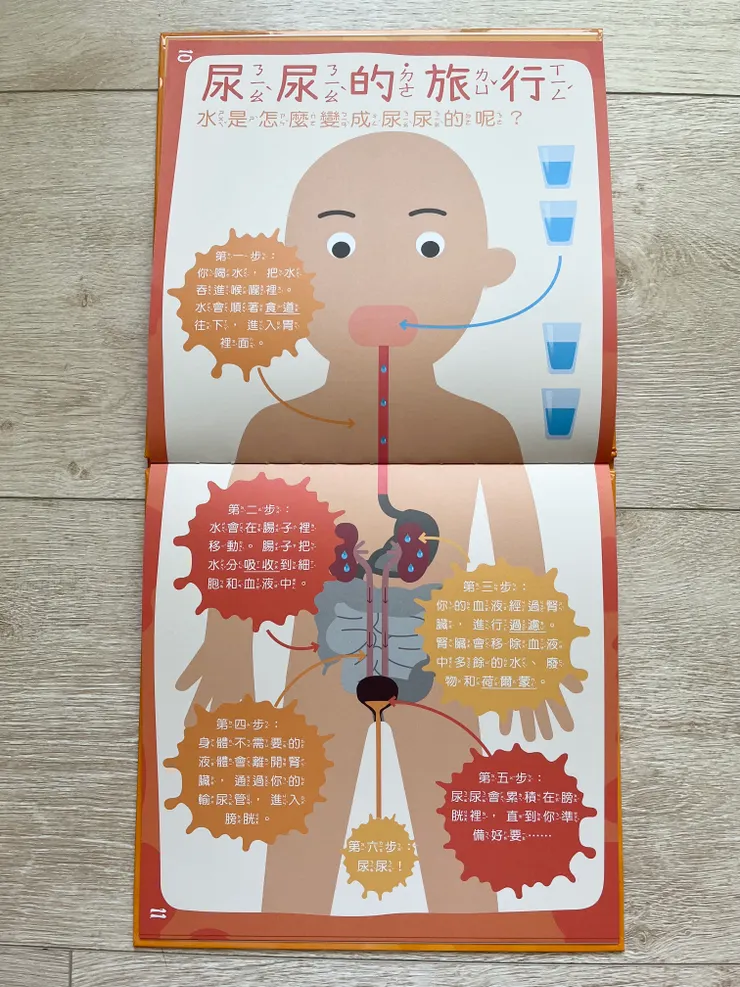 尿尿怎麼來？怎麼排？