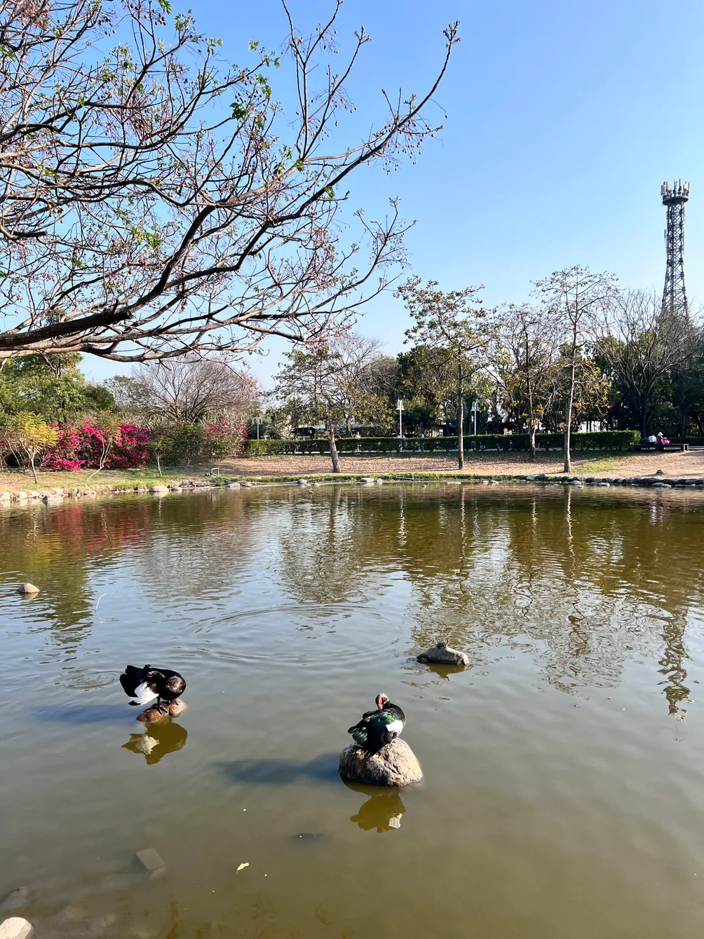 5先生與8小姐的沙龍