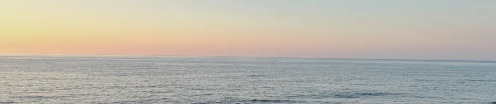 關於職涯、關於我們