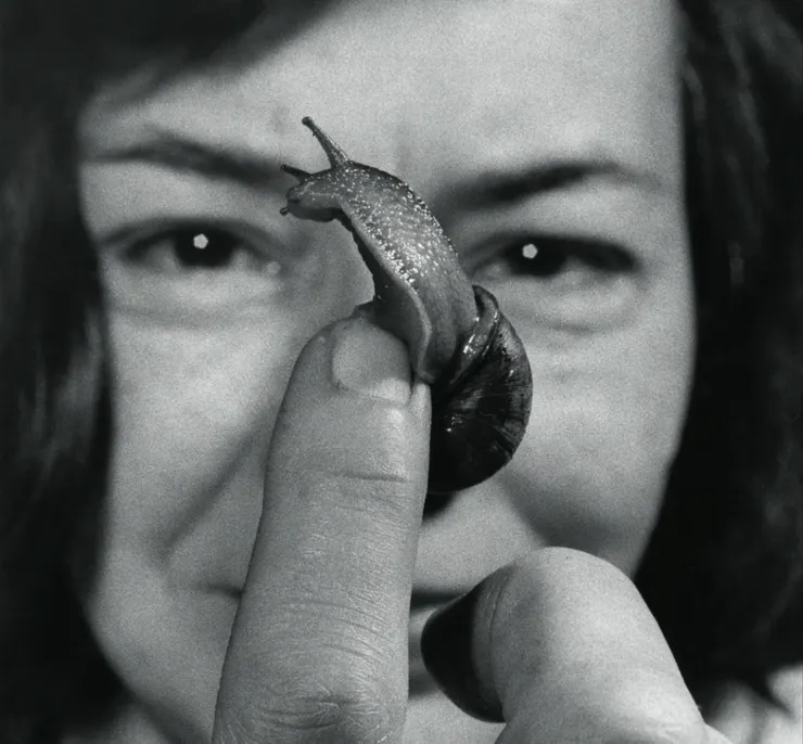 海史密斯酷愛雌雄同體的蝸牛