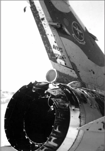 亞瑟座機尾部損害影像。