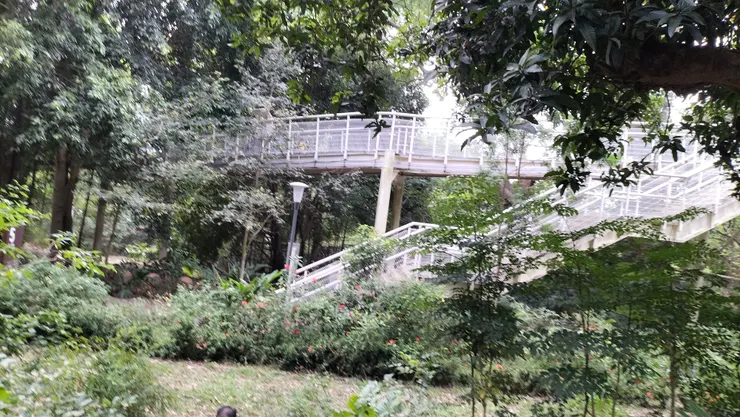 藏在園區中接往天空步道