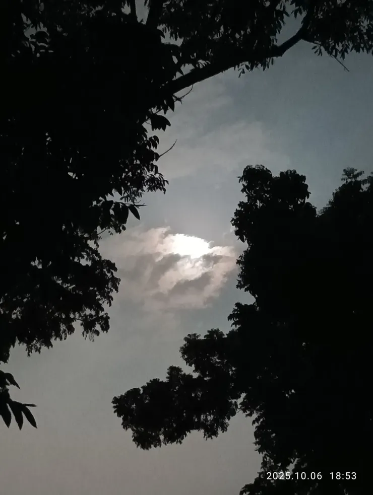 飛雲黯淡煙光冷