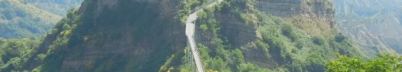 選擇權正規軍的沙龍