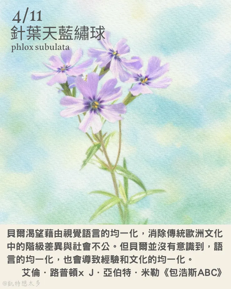 針葉天藍繡球×《包浩斯ABC》