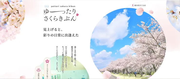 圖片來源:さくら市官網