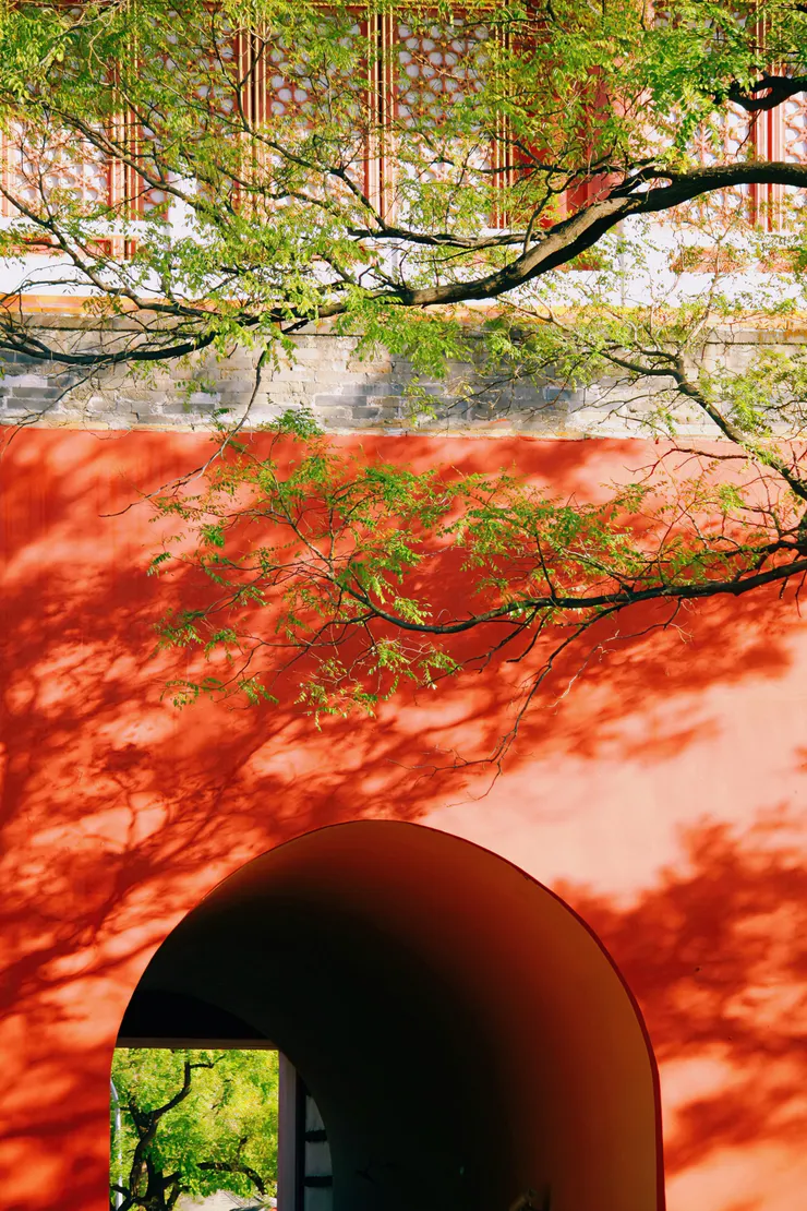 Wang xiaoqi / Unsplash